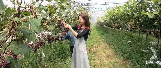 汝南县罗店镇：深耕文旅融合  绘就振兴画卷